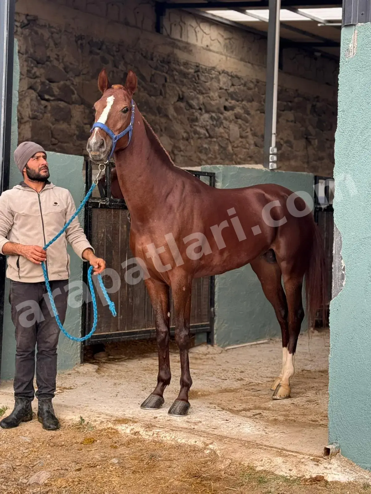 Yem ve saman deposu — kaliteli kaba yem stoğu